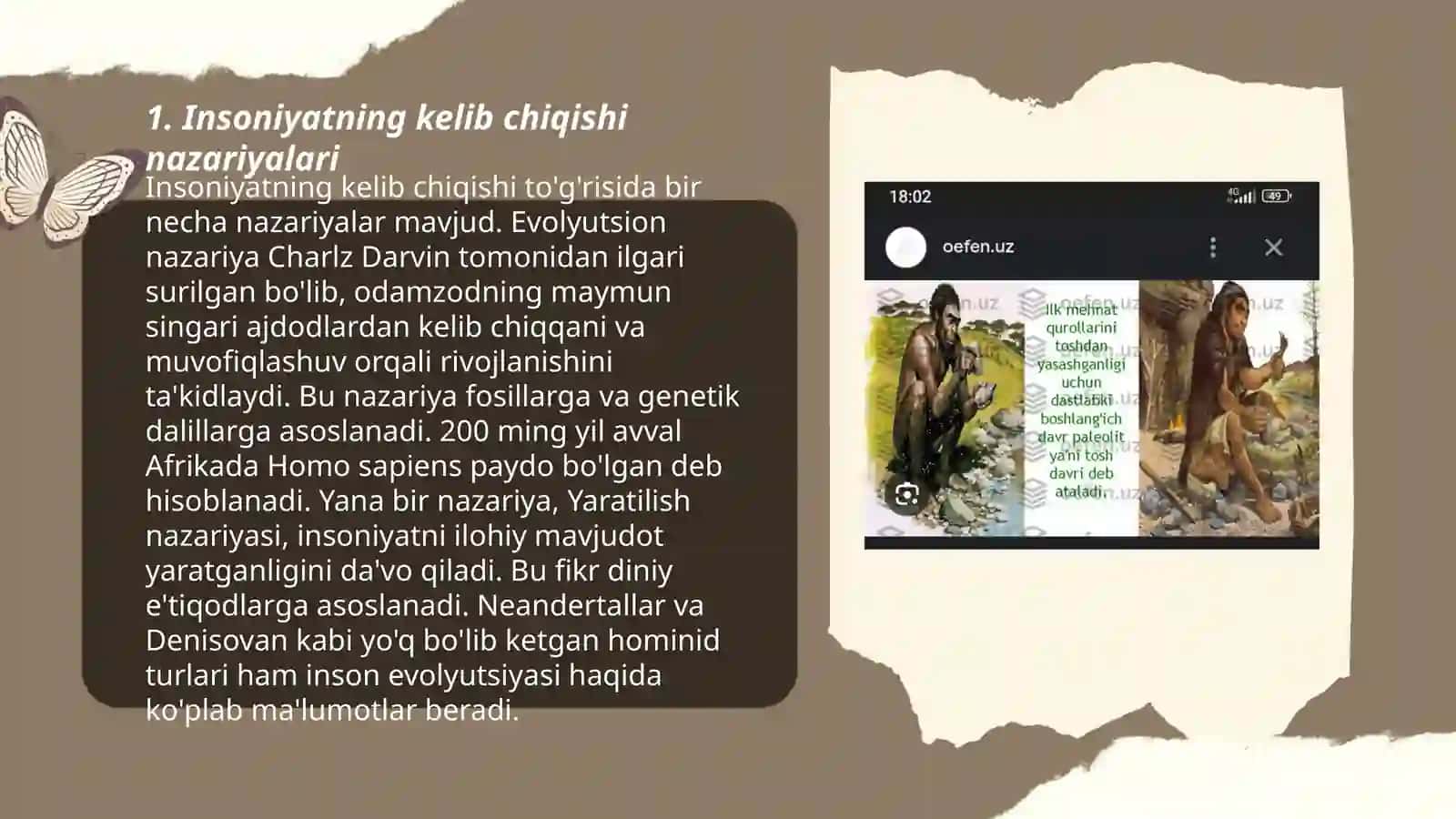 Insoniyat evolyutsiyasi va antropegenez jarayonlari 3