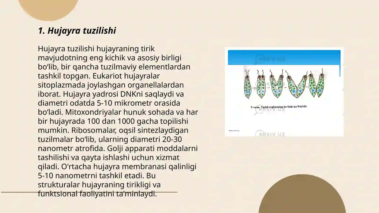Biologik tushunchalar tõg'risida malumot 3