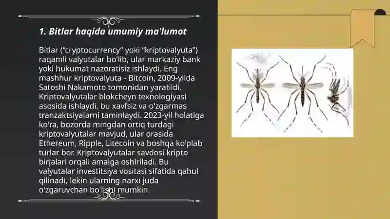 Bitlar haqida umumiy ma'lumot 3