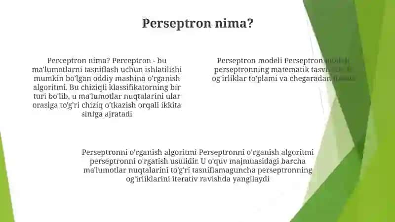 Perseptron Modeli 3