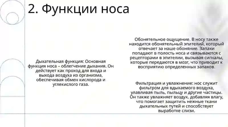 Нос 3
