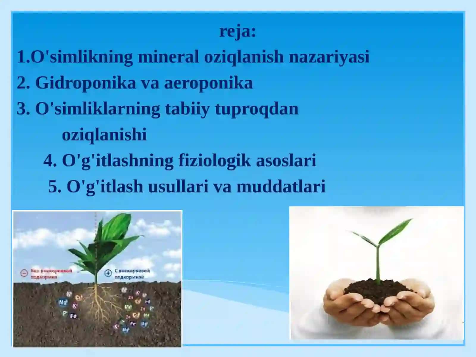 Mineral oziqlanishning fiziologiyasi 3