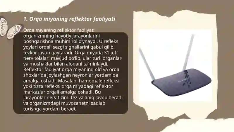 Orqa miyaning reflektor va oʻtkazuvchi yoʻl faoliyati, tekshirish usullari 3