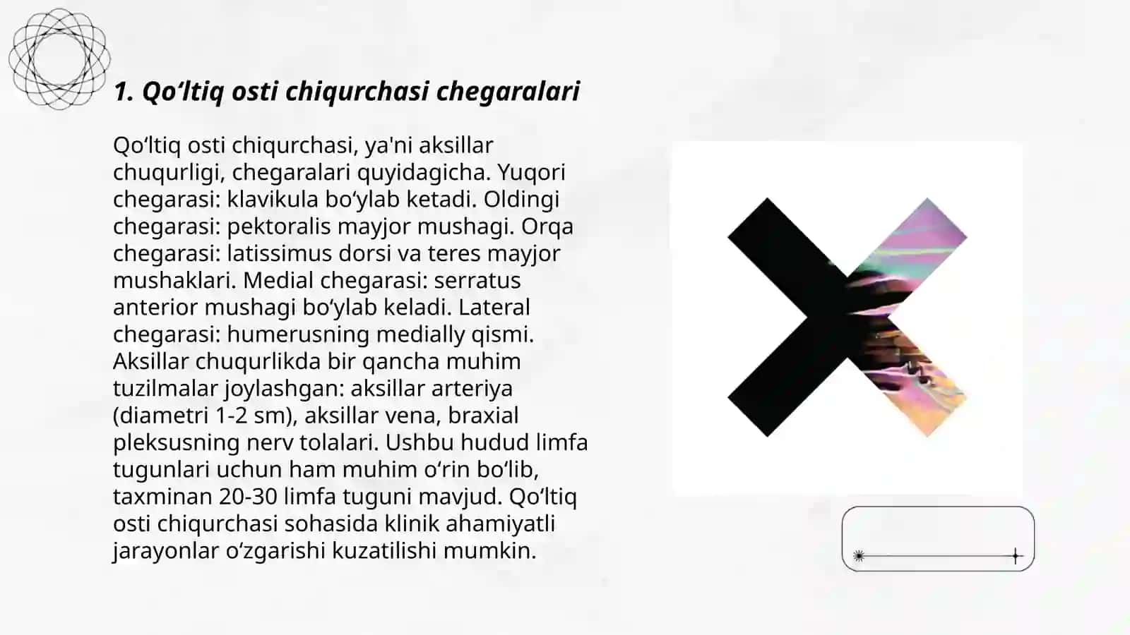Qoʻltiq osti chiqurchasi chegarasi va xususiyatlari 3
