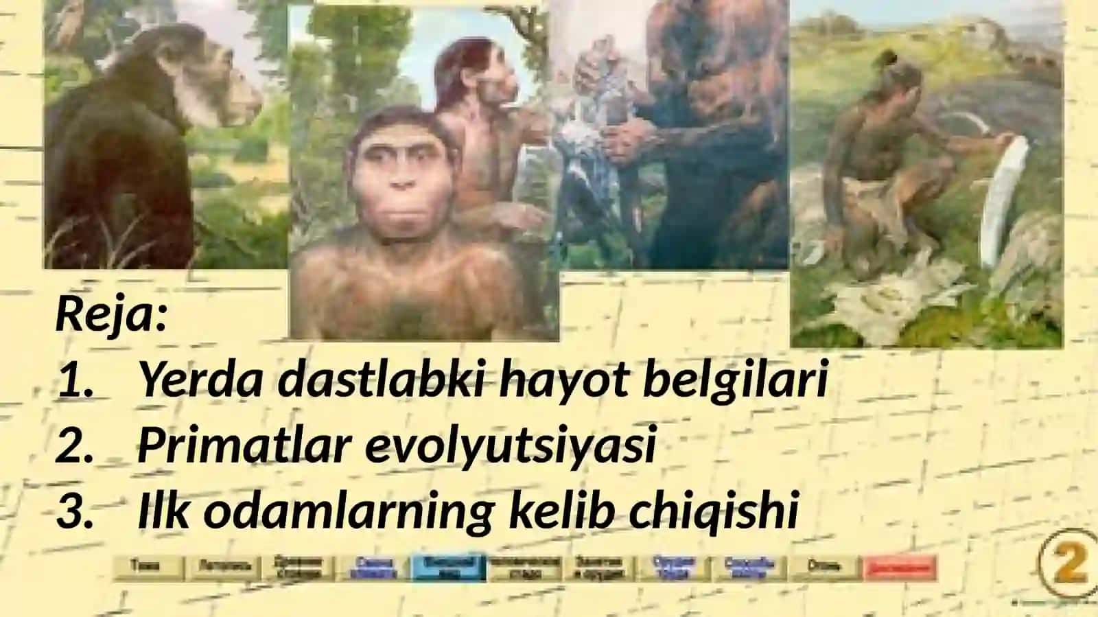 Odamning hayvonot dunyosidan ajralib chiqishidagi biologik omillar 3