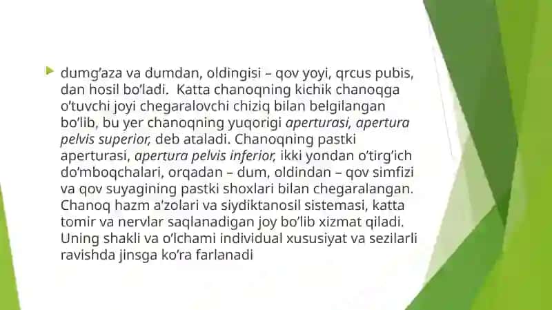 ChanoqKamarisuyaklari:tuzilishivaularningyoshgadoirxususiyatlari 3