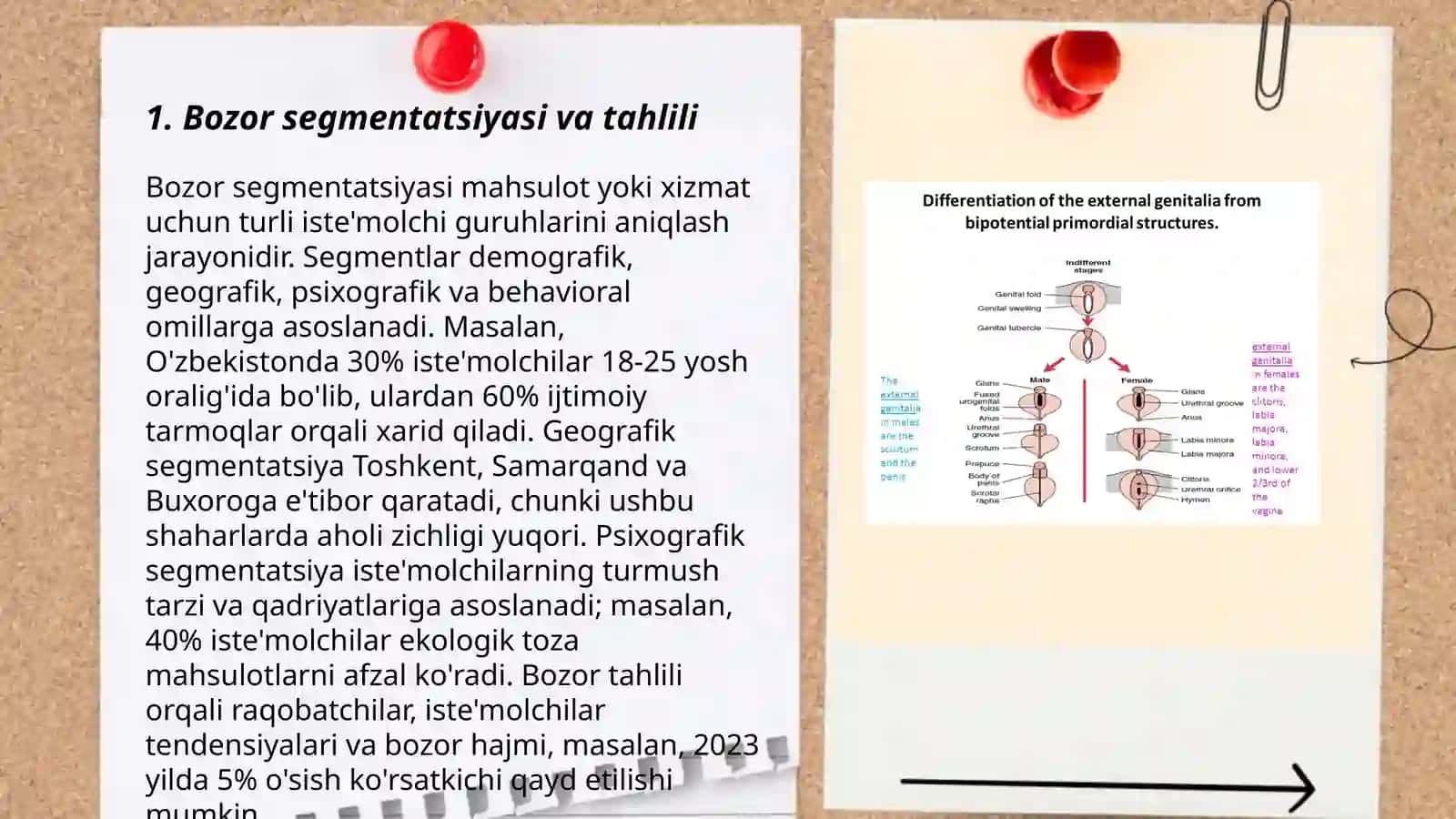 Marketing tadqiqotlari va axborotlar tizimi 3