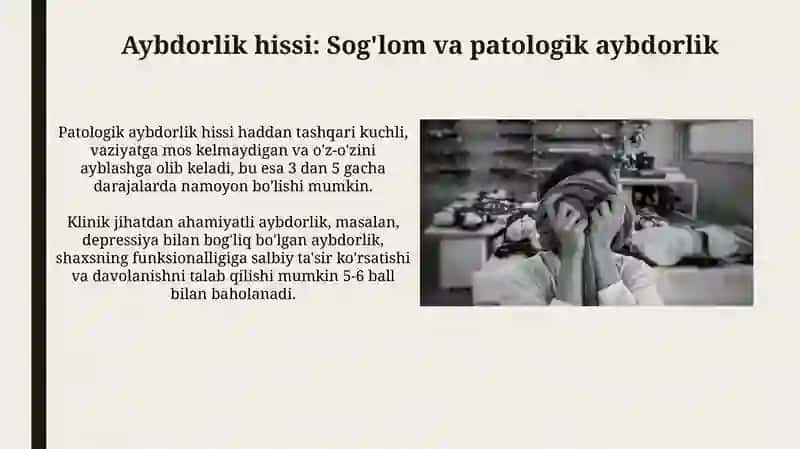 Aybdorlik hissi 3