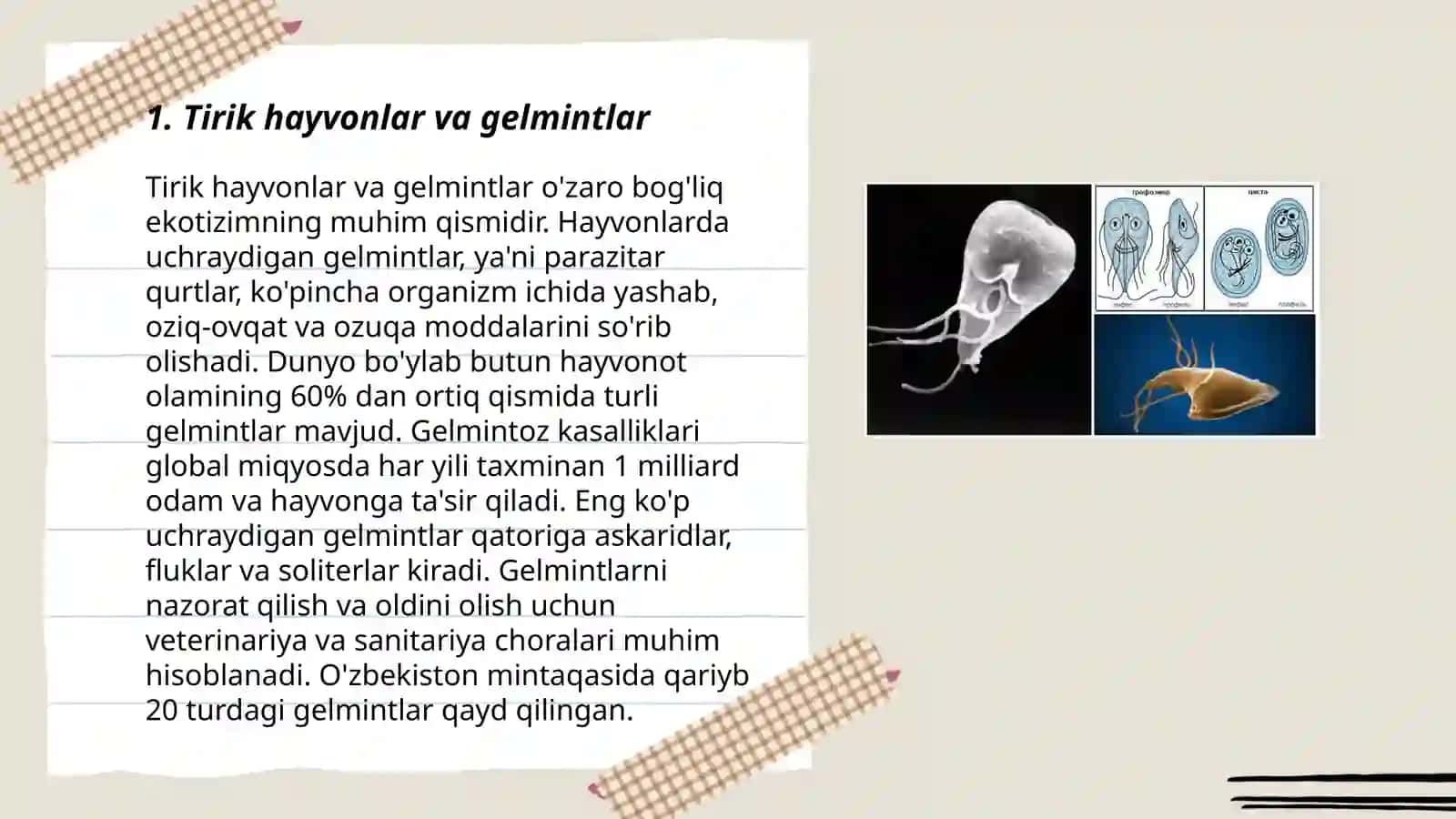 Tirik hayvonlarni gelmitlar bilan zararlanishini labaratoriyada tekshirish usullari 3