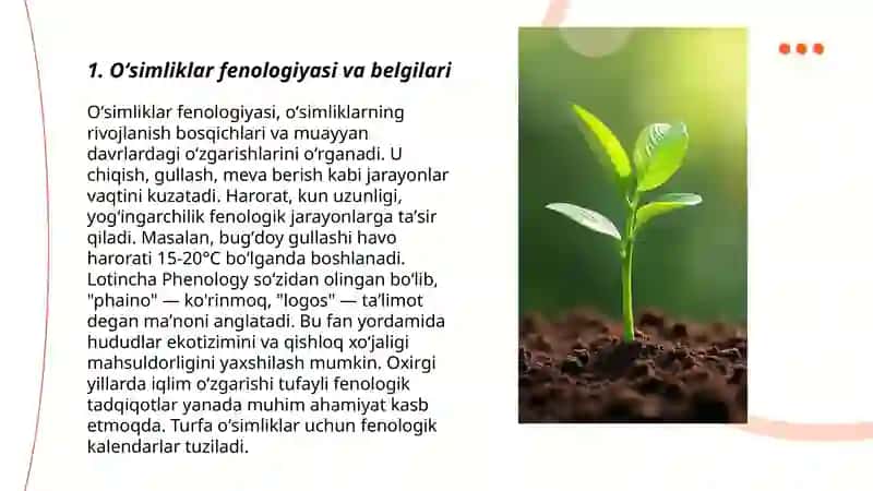 Oʻsimliklar belgi xususiyatlari orasida korrelatsion bogʻliqlikni aniqlash 3