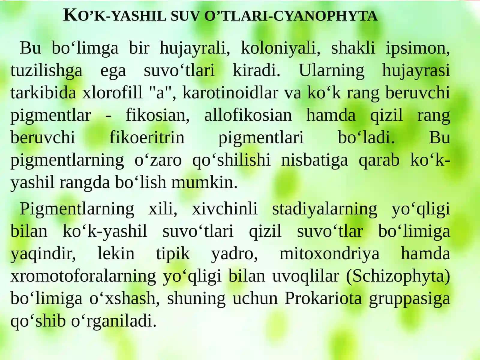 Ko’k-yashil va qizil suv o’tlari bo’limi 3