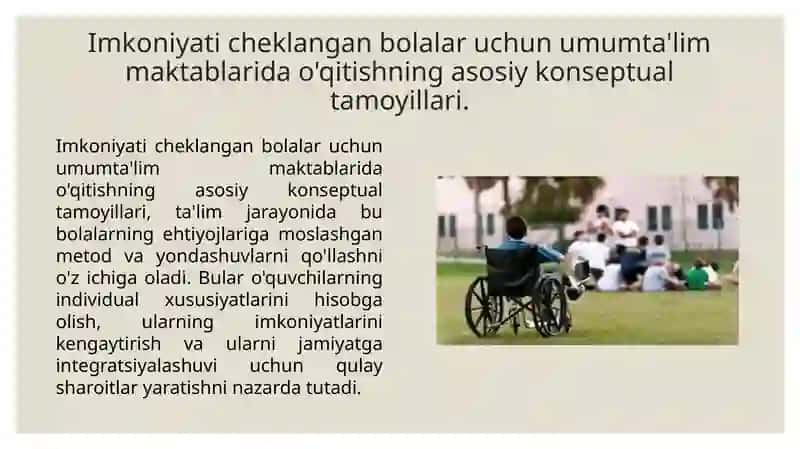 Imkoniyat cheklangan bolalar uchun umumiy ta'lim maktablari darslaridagi konseptual talablar 3