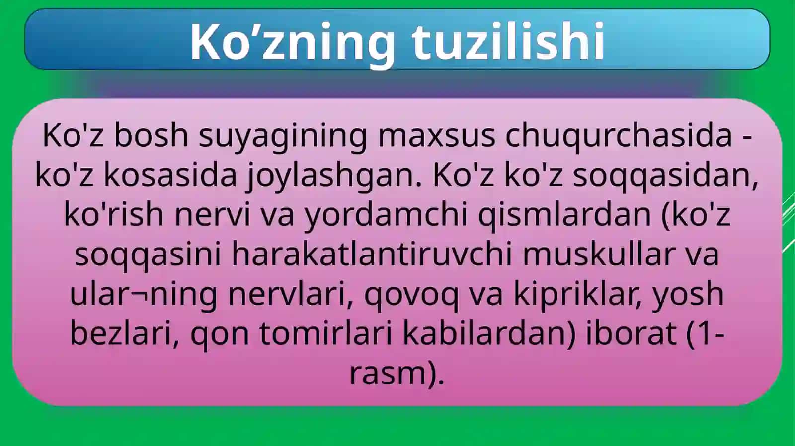 Yosh fiziologiyasi va gigiyenasi fanidan tayyorlagan mustaqil ishi 3