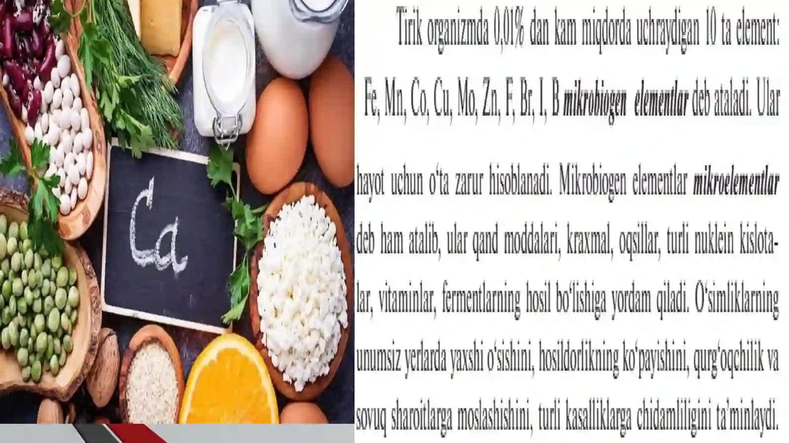 Biogen elementlar va ularning tirik organizmlardagi ahamiyati 3