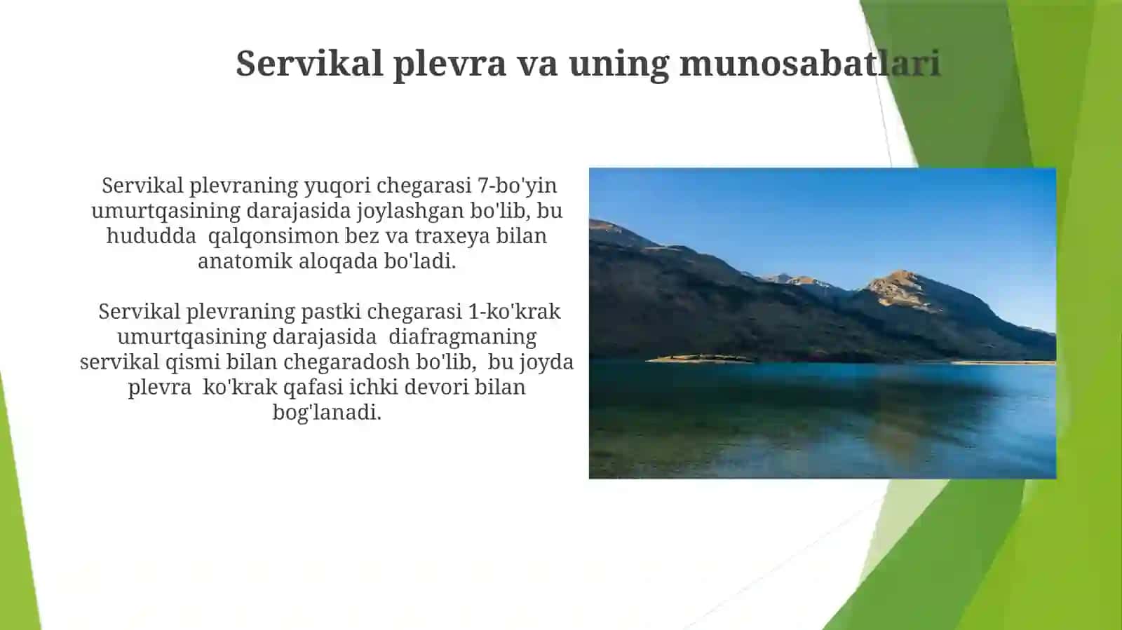 Bo'yinsohasining mushak va fastsiyalari hamda topografiyasi 3