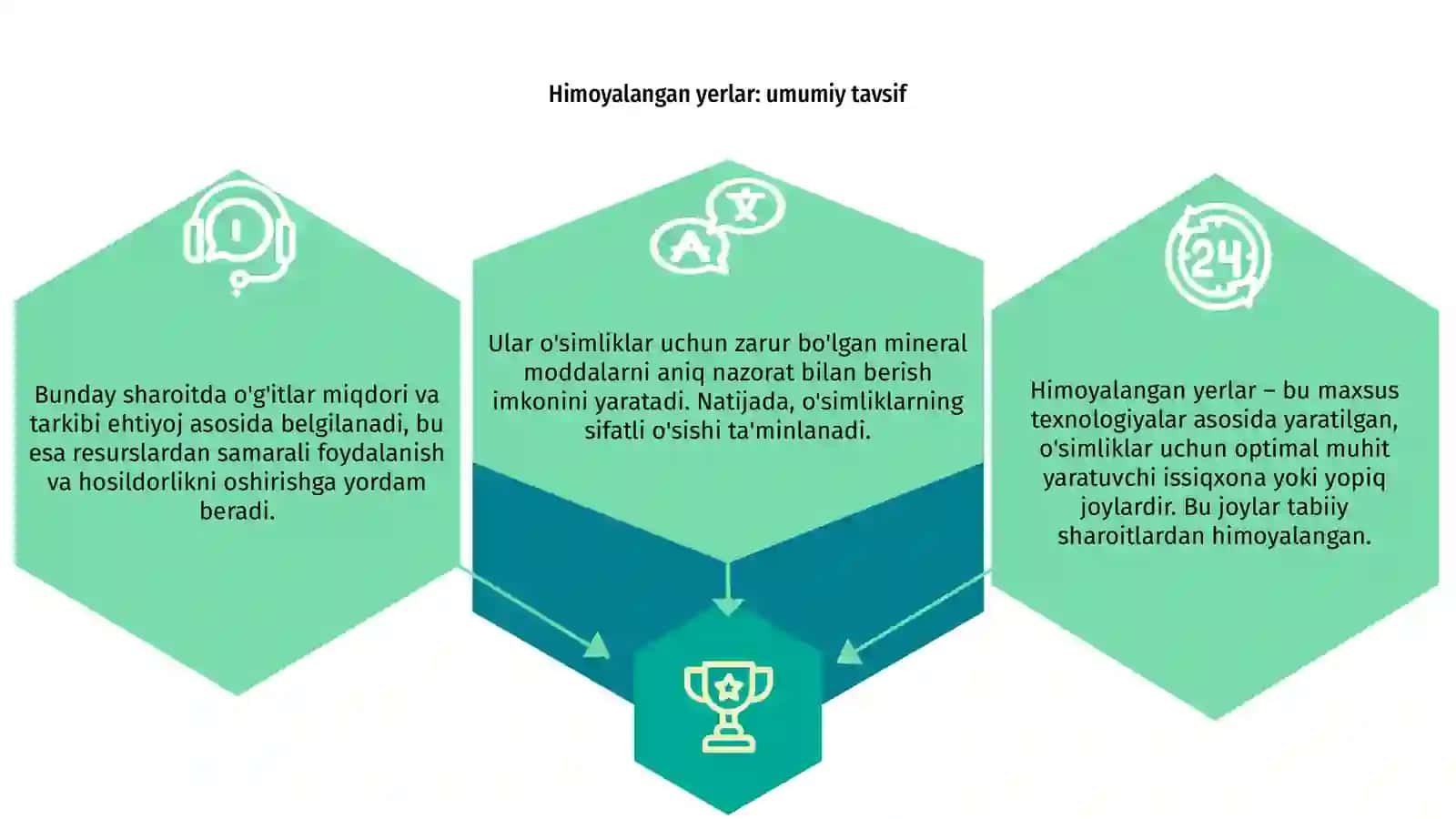 Himoyalangan yerlarda o'simliklarni mineral oziqlantirish xususiyatlari 3