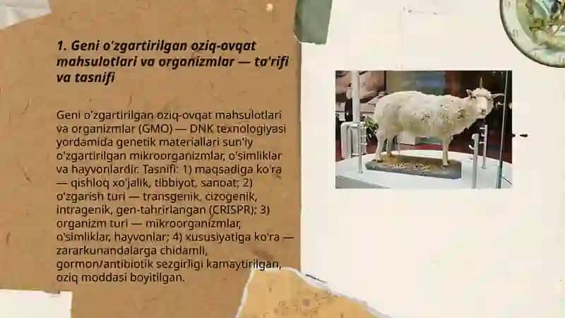 Geni o'zgartirilgan oziq-ovqat mahsulotlari va organizmlar 3