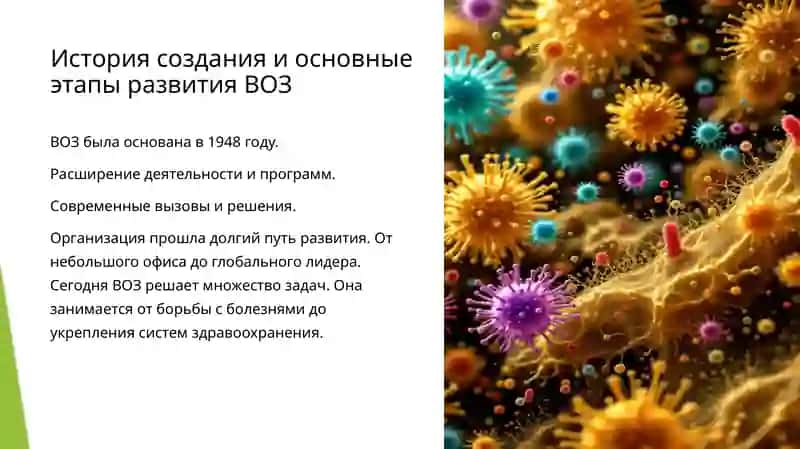 Всемирная организация здравоохранения 3