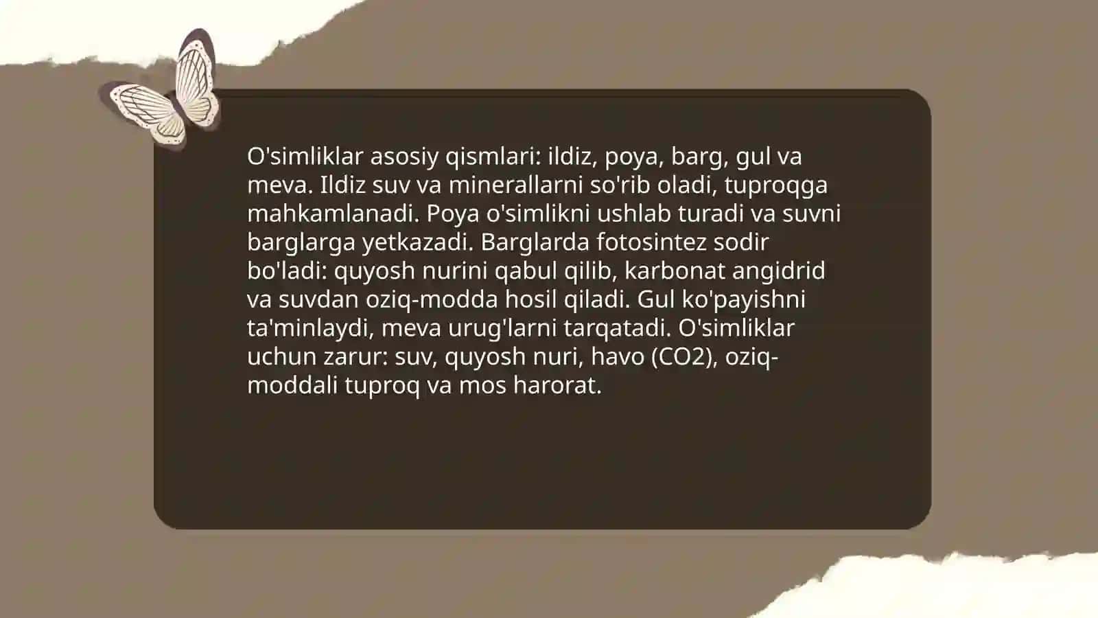 Tabiiy fanlar dasturi 3