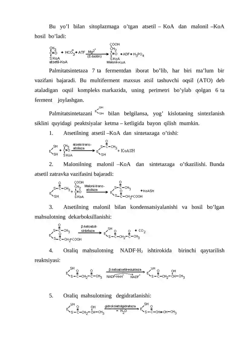 Lipidlar anabolizmi 3