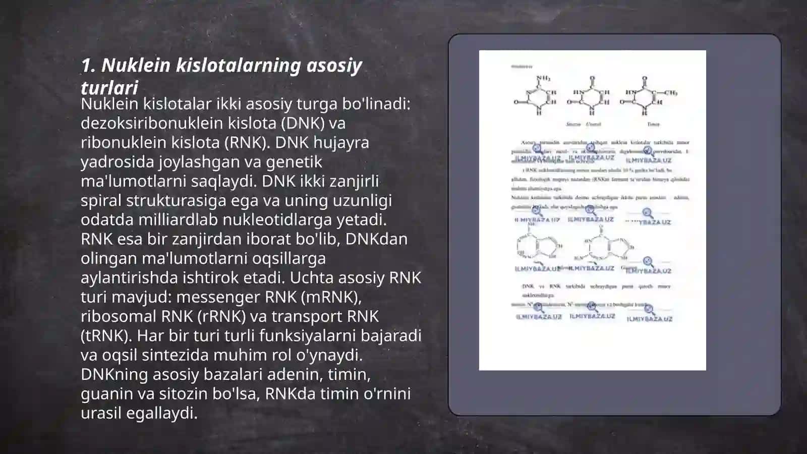 Nuklein kislotalar tuzilishi va funksiyalari 3