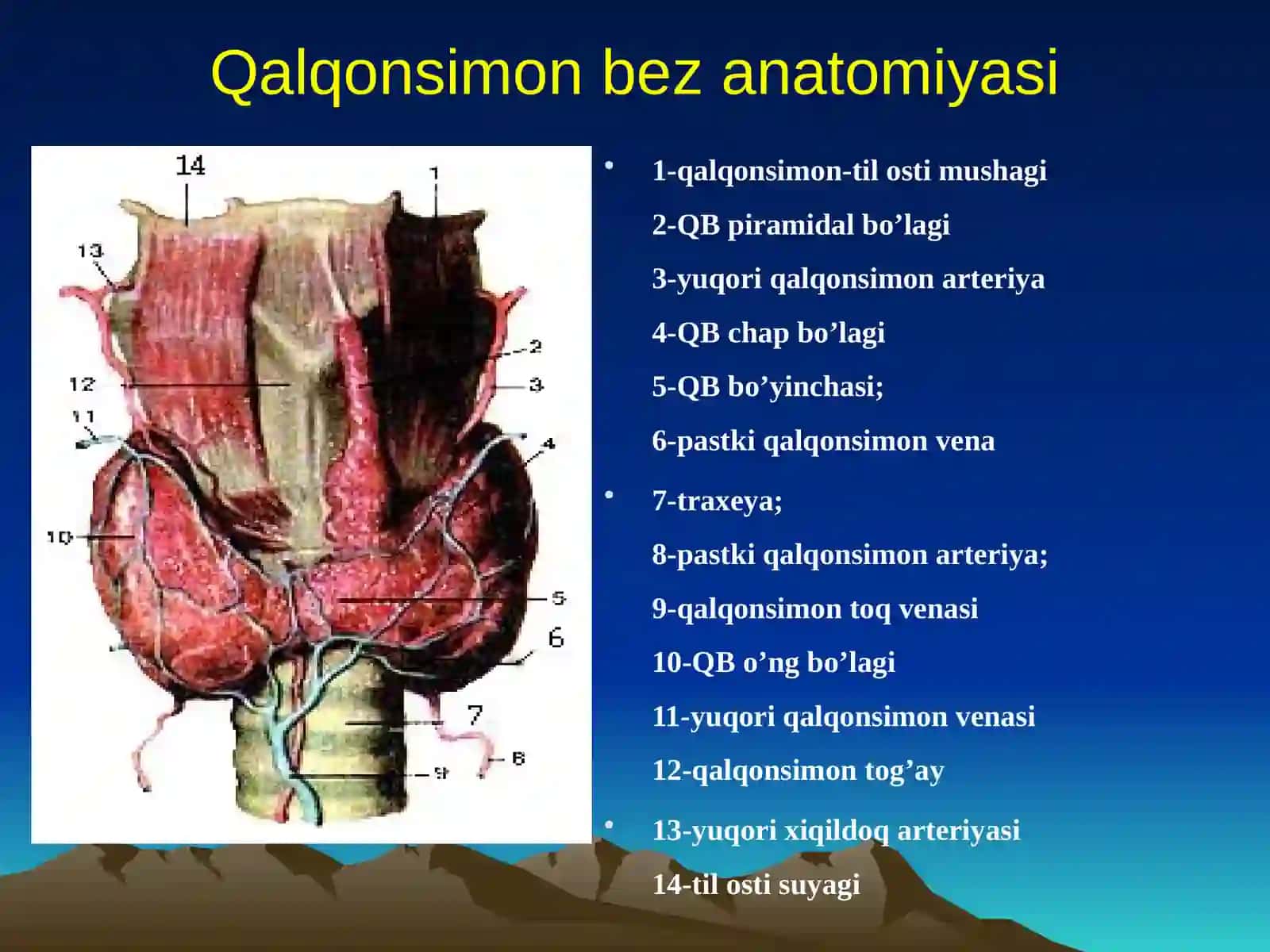 Qalqonsimonbezning yodyetish movchiligibilan bog`liq kasalliklari 3