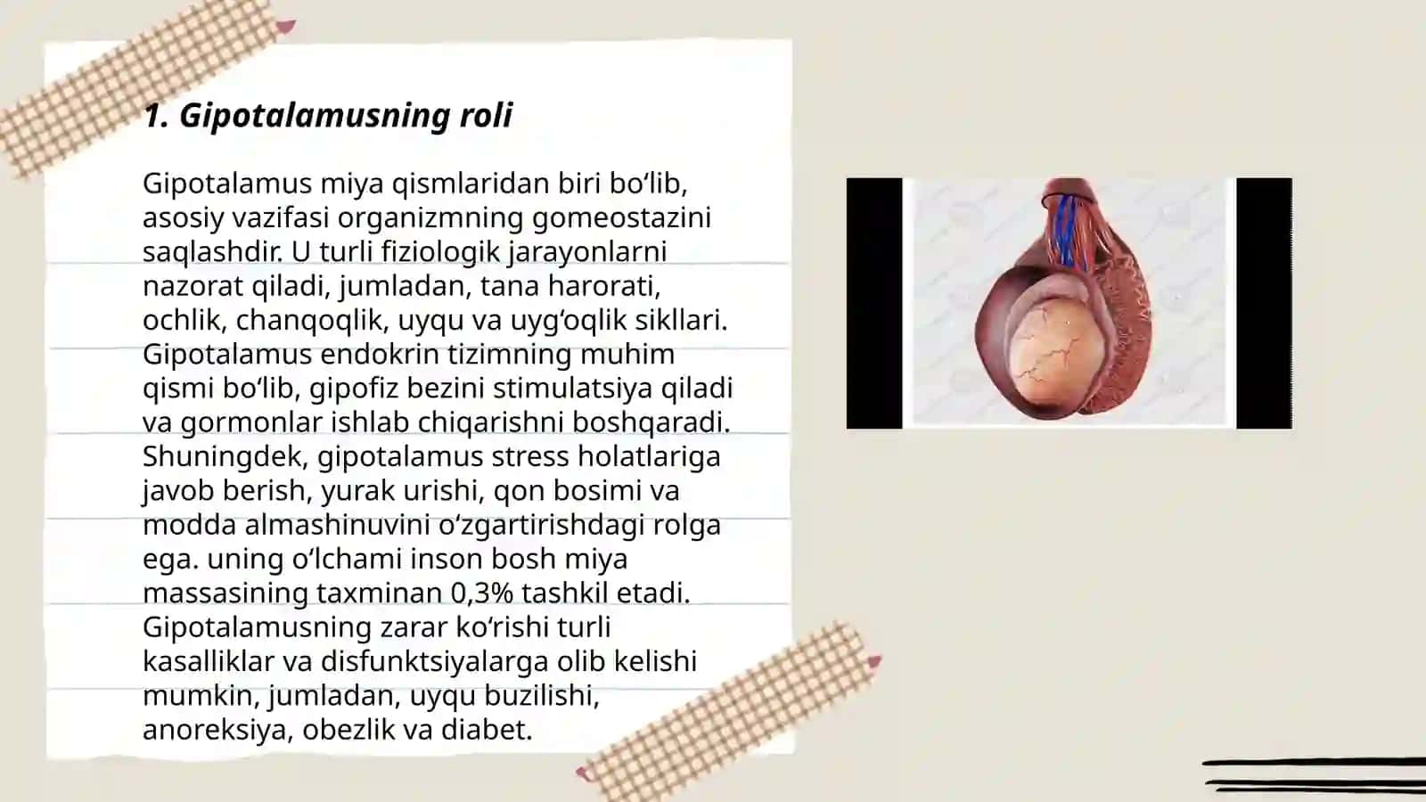 Urugʻdon endokrin faoliyatining endokrin boshqariluvi 3
