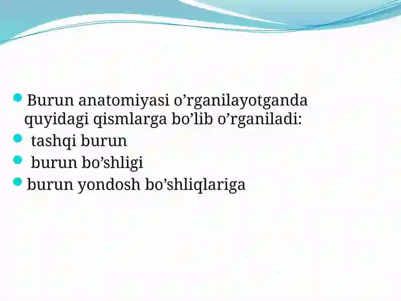 Burunbo’shligi anatomiyasi va fiziologiyasi 3