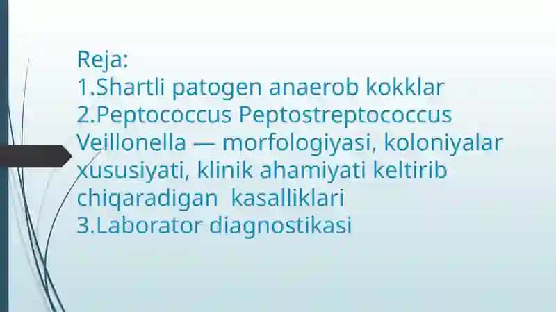 Shartlipatogenanaerobkokklar, Peptococcus Peptostreptococcus Veillonella 3