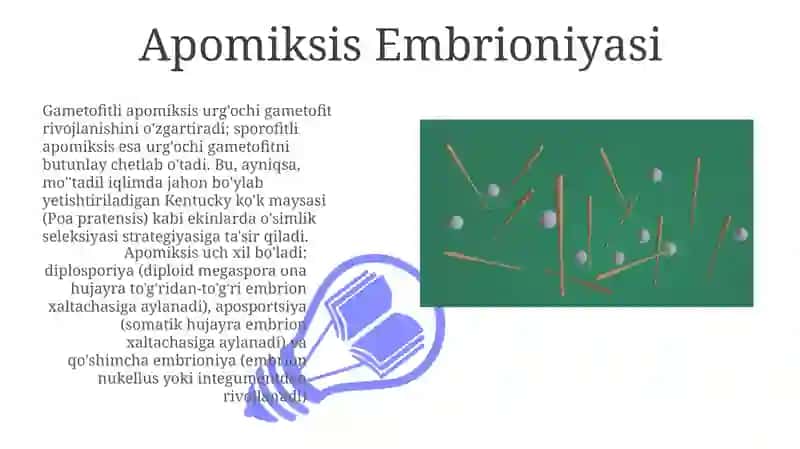 Apomiksis klasifikatsiyasi 3