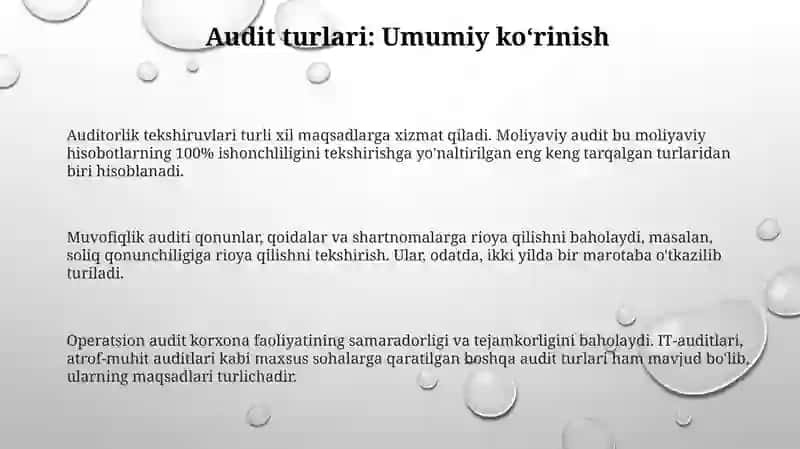 Audit turlari va funksional tasnifi 3