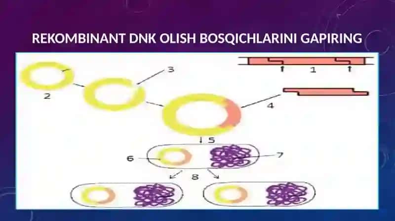 GEN MUHANDISLIGIGA ASOSLANIB O‘SIMLIK IRSIYATINI O‘ZGARTIRISH 3