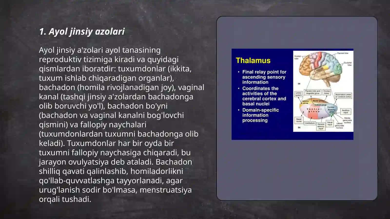 Jinsiy azolar tizimi 3