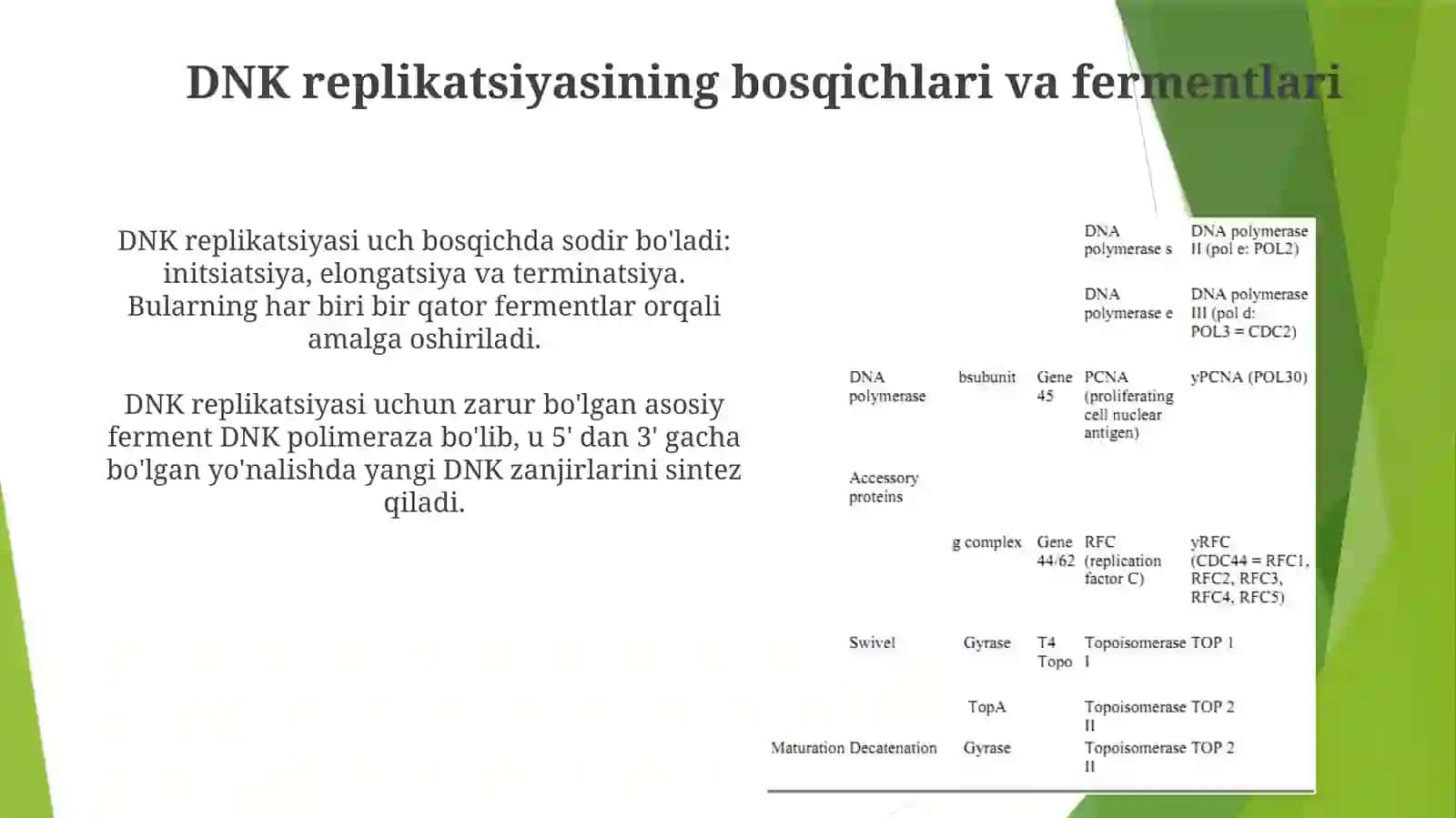 DNK replikatsiyasi va rekombinatsiyasining molekulyar mexanizmlari 3