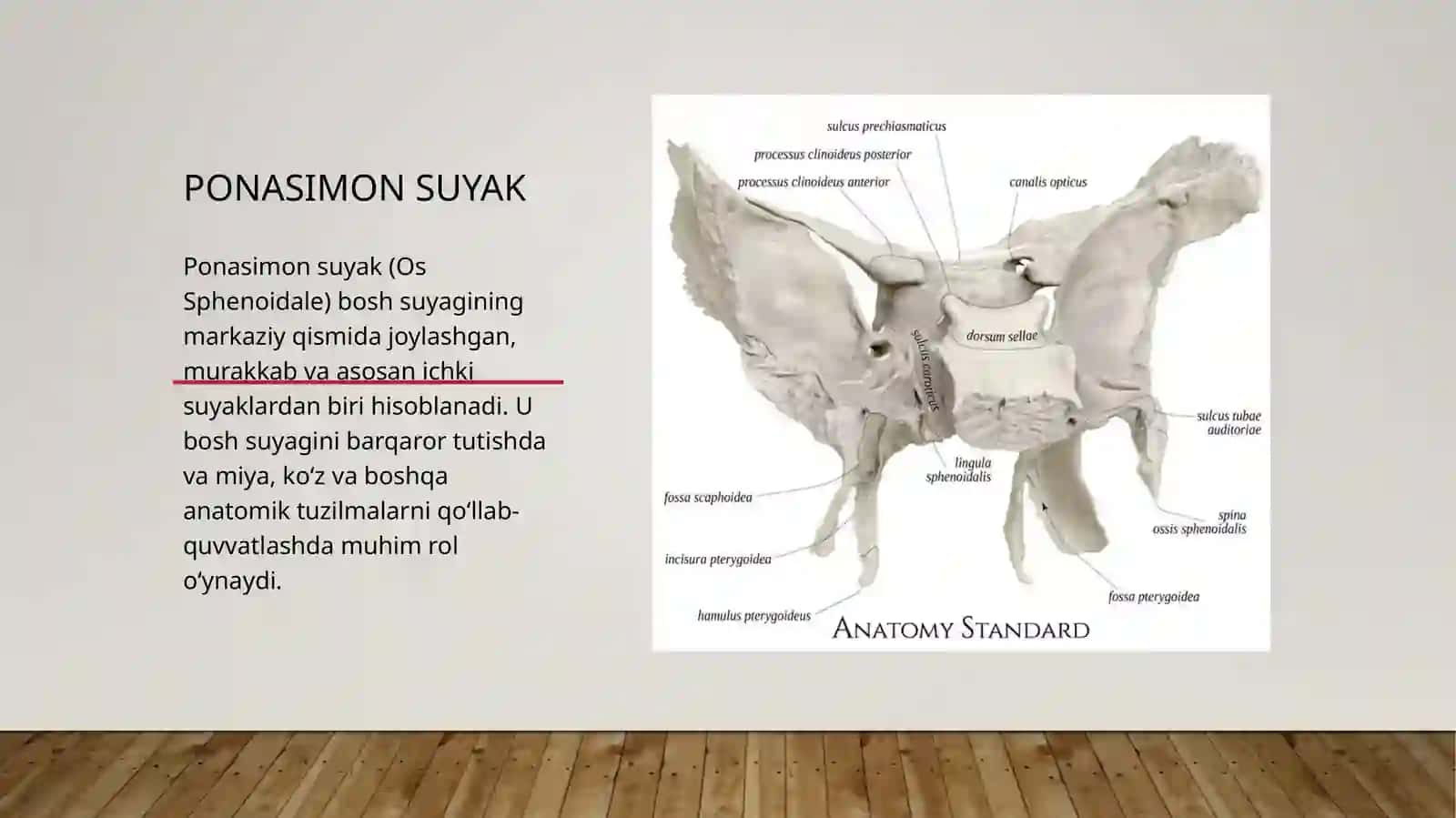 Ponasimon suyak 3