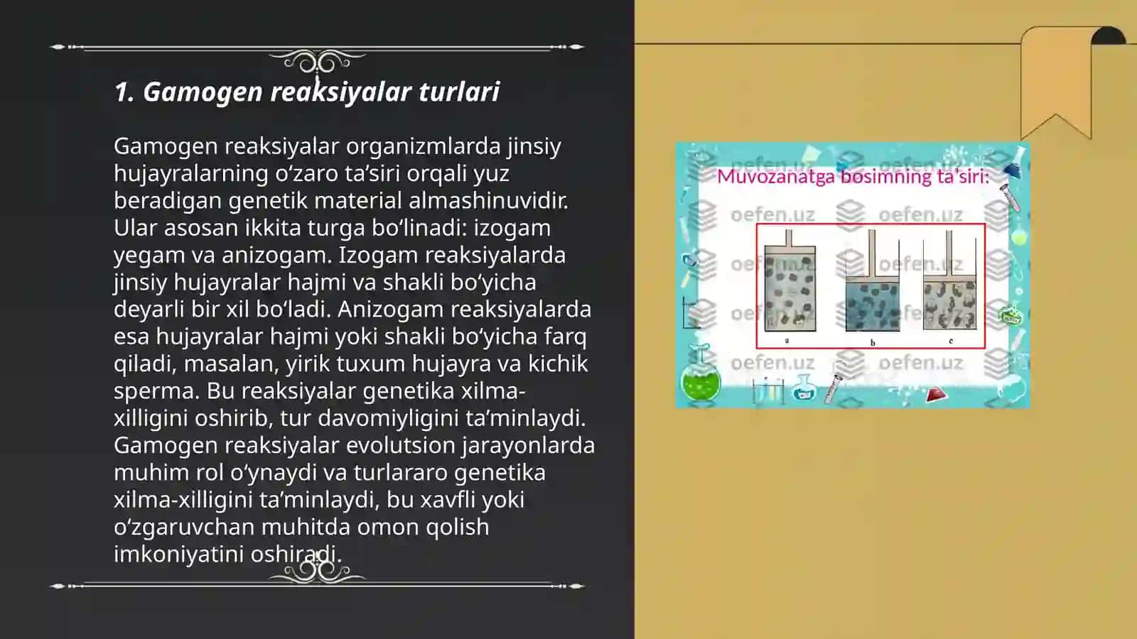 Gamogen reaksiyalar 3