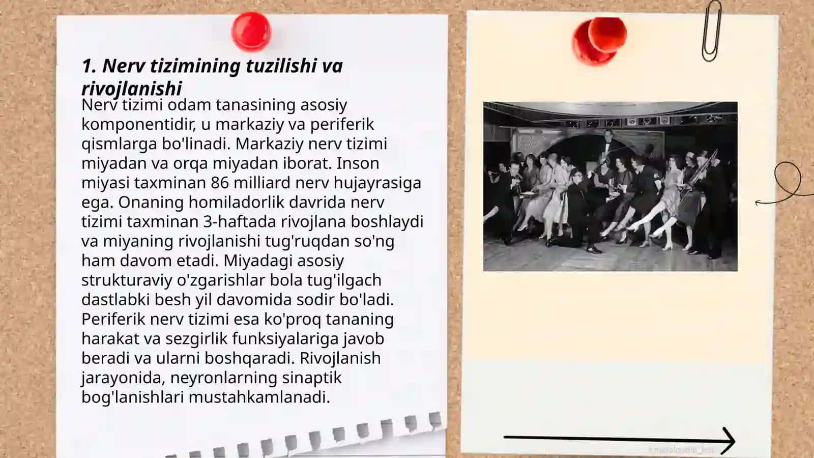 Nerv tizimining yoshga oid umumiy fiziologiyasi va gigiyenasi 3
