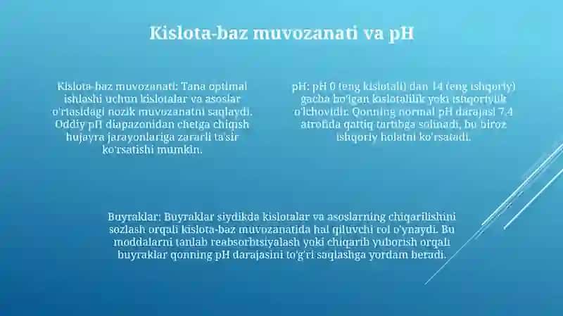 Kislota Mubozanat Potofiziologiyasi 3