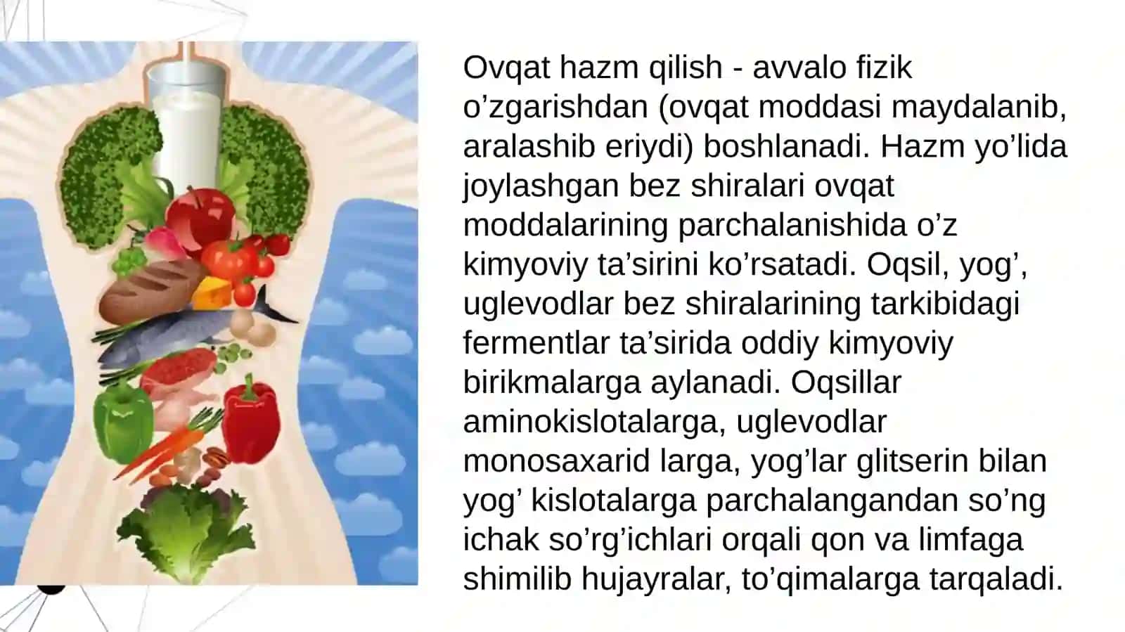 OVQAT HAZM QILISH SISTEMASI FIZIOLOGIYASI VA YOSHGA BOG'LIQ 3
