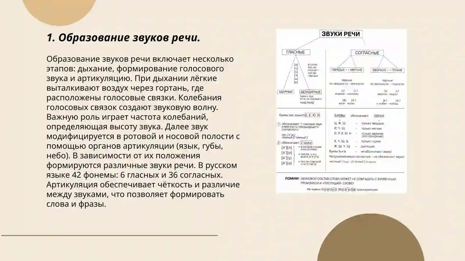 Звуки современного литературного языка 3