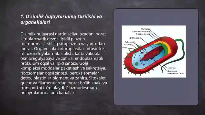 Oʻsimliklar evolyutsiyasi va hujayra biologiyasi (sitologiya) 3