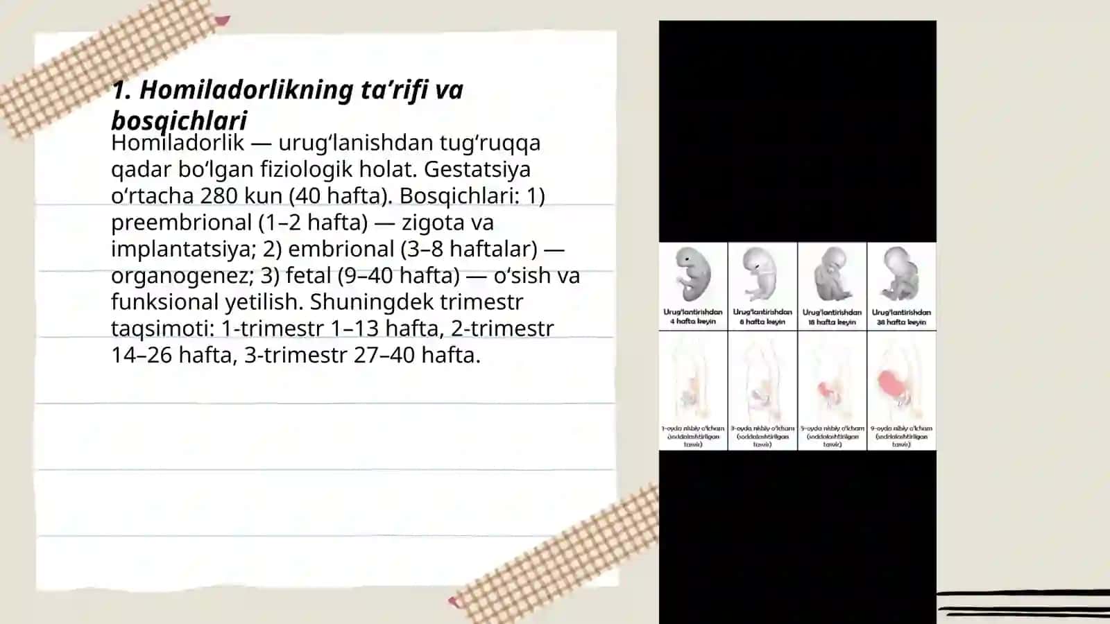 Homiladorlik fiziologiyasi va diagnostikasi 3
