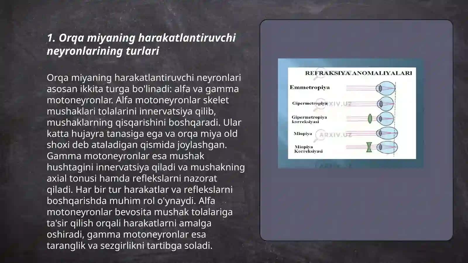 Orqa miyaning harakatlantiruvchi neyronlarining turlari,ularning morfofunksional xususiyatlari 3