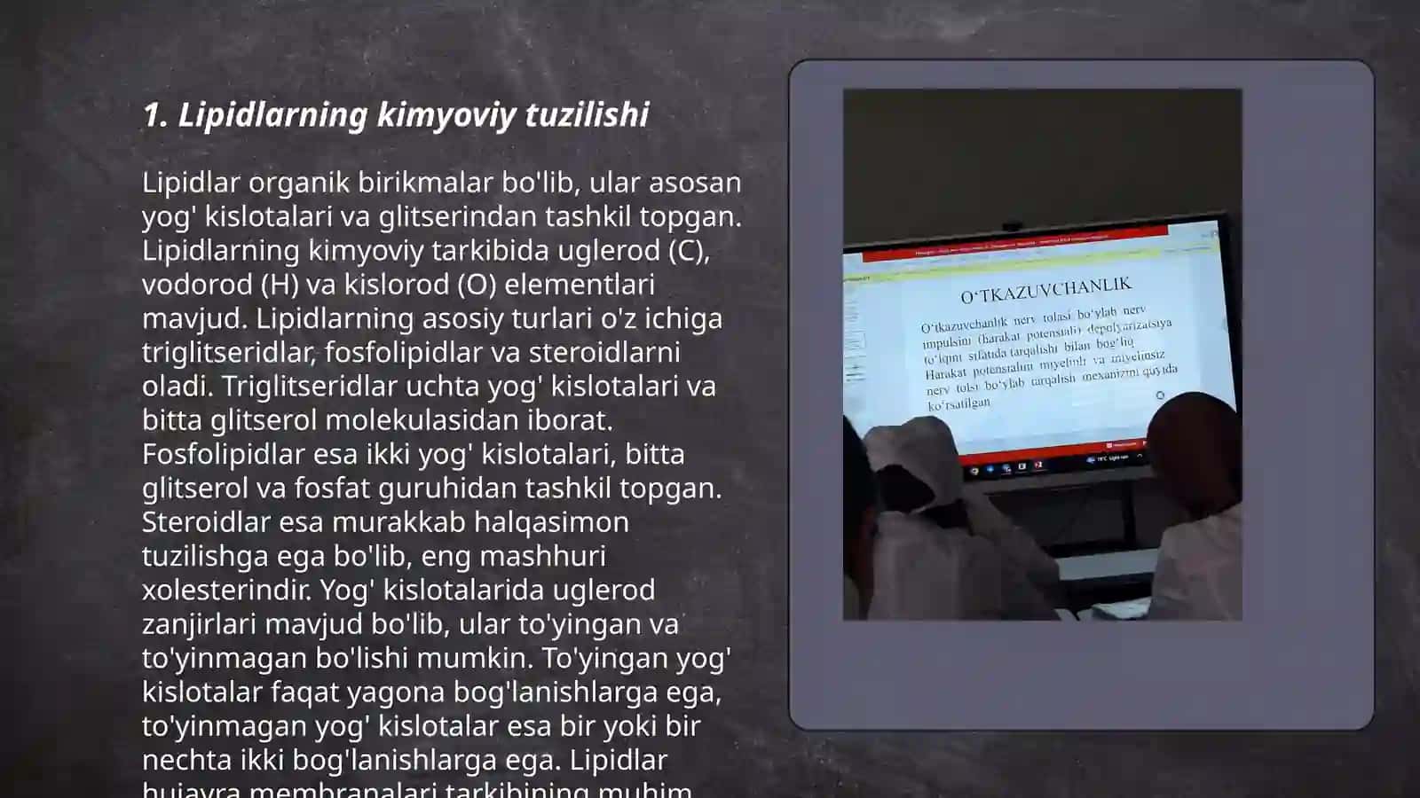 Lipidlat 3