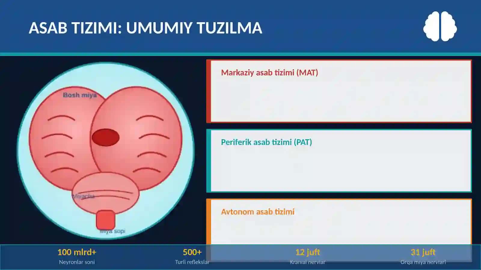 Harakat va Sezgi buzilishlari New 3