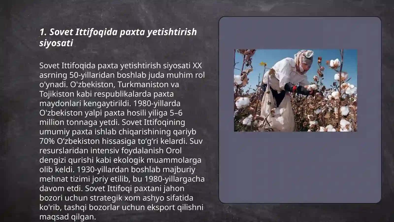 Sovet Ittifoqida paxta yetishtirish siyosati 3