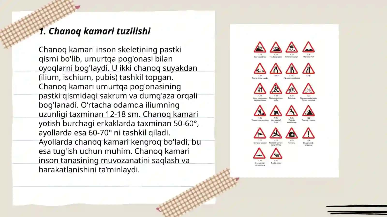 Chanoq kamari va erkin oyoq suyaklarining birlashuvi:hosil boʻlishi, tuzilishi va xarakat oʻqlari va sathlari 3
