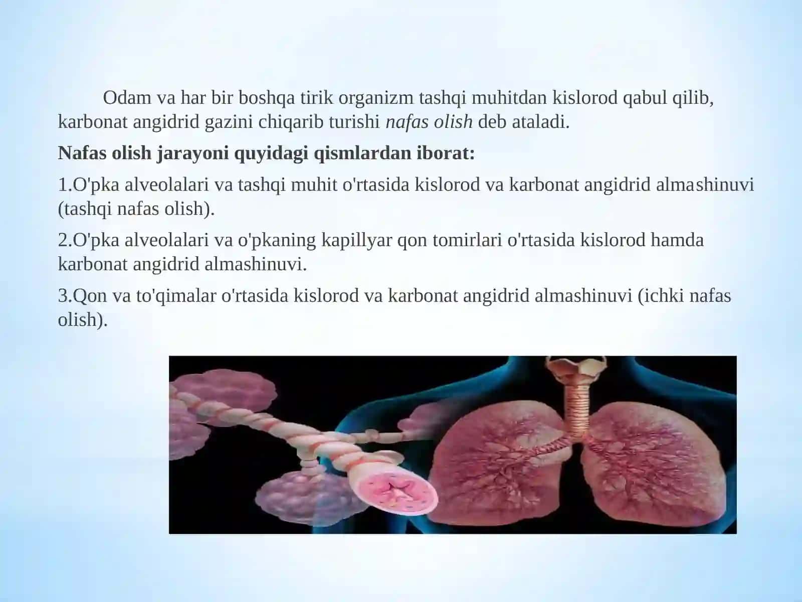 Nafasolishning ahamiyati va organlarining tuzilishi 3