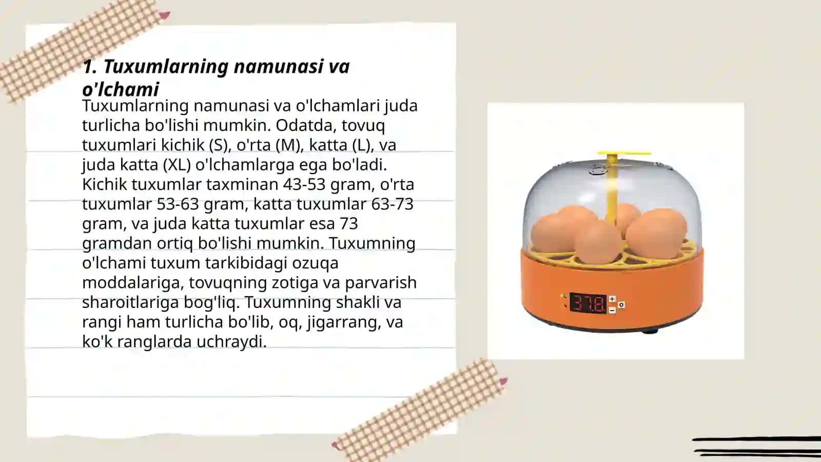 Inkubatsiyaga qo'yiladigan tuxumlarga talablar 3