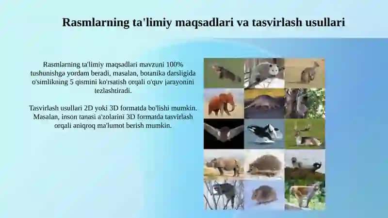 Rasmlarning Didaktik Roli Tabiiy Fanlar 3